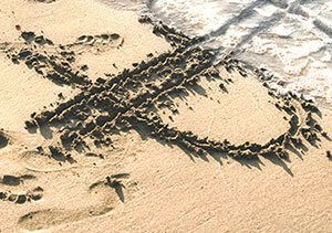 Image of beach with dollar sign written in the sand